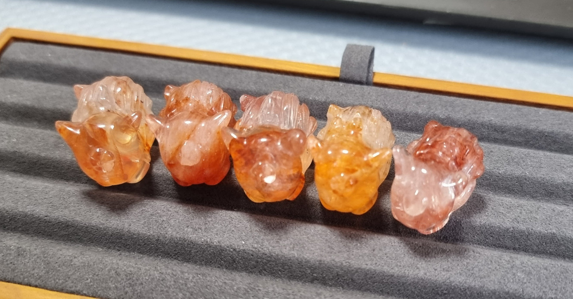 Hematoid Nine Tailed Fox - Bleus Vault.C 