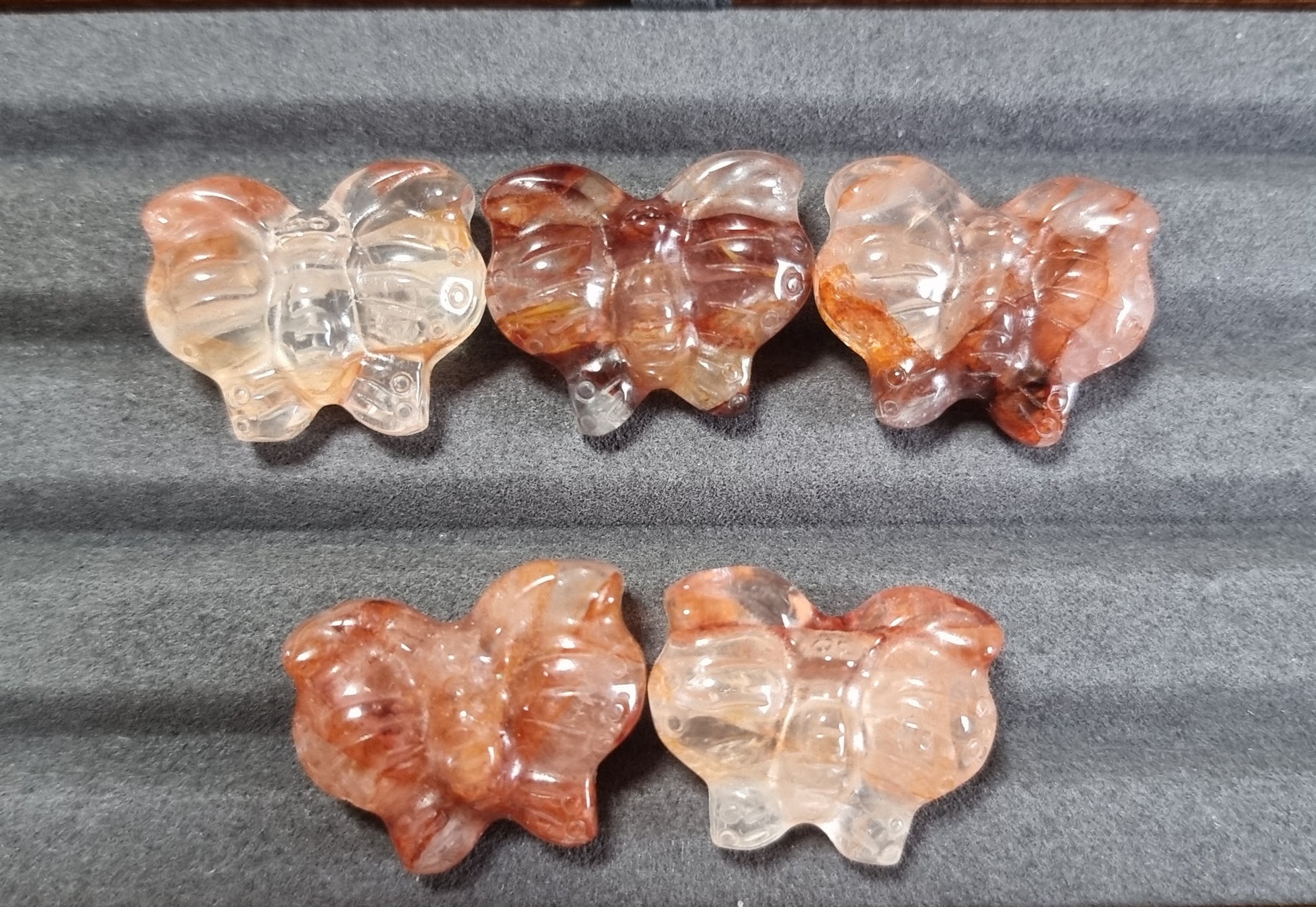 Hematoid Butterfly - Bleus Vault.C 