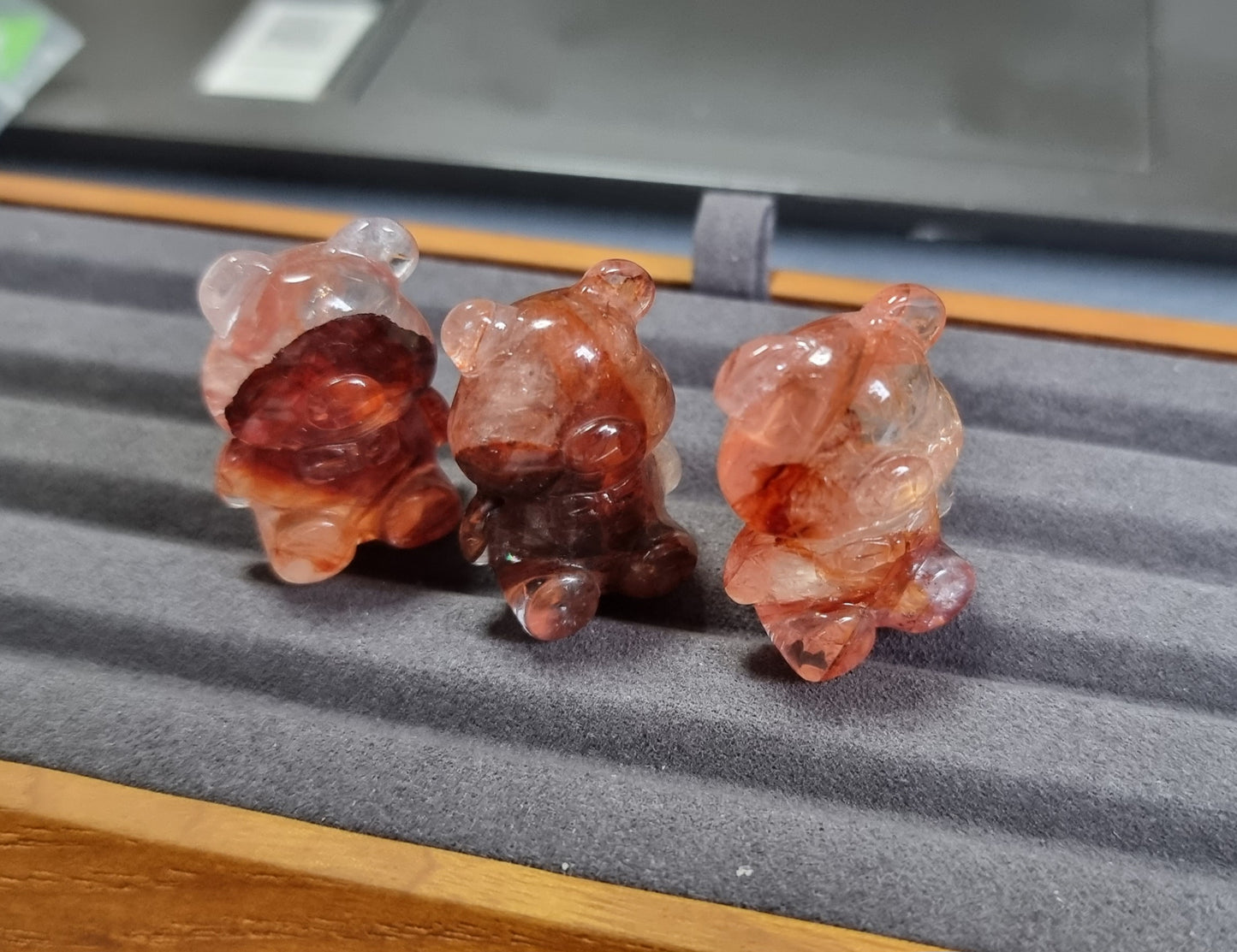 Hematoid Bear - Bleus Vault.C 