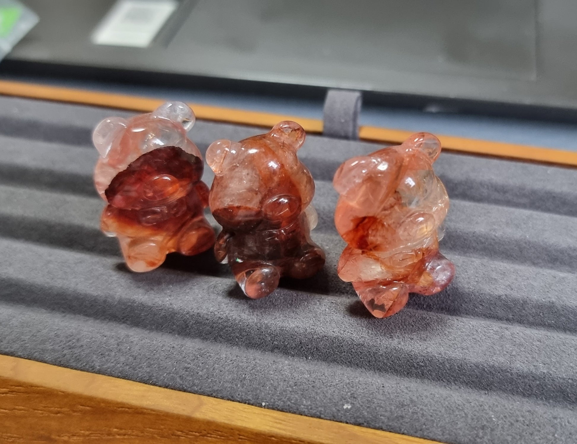 Hematoid Bear - Bleus Vault.C 